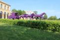 IMG 7927 YRI