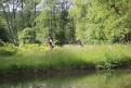IMG 6584 YRI