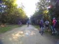 YRI VTT 00232