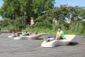 IMG 7934 YRI