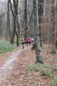 IMG 0716 YRI