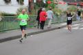 IMG 9050 YRI