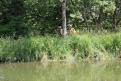 IMG 6833 YRI
