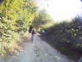 YRI VTT 00213
