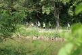 IMG 6889 YRI