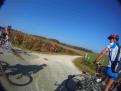 YRI VTT 00242