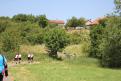 IMG 7482 YRI