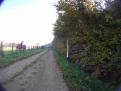 YRI VTT 00119