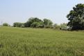 IMG 7575 YRI