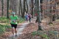 IMG 1036 YRI