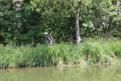 IMG 6858 YRI