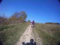 YRI VTT 00339