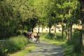IMG 6071 YRI