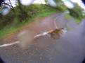 YRI3 Drift 0304