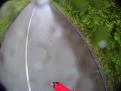 YRI3 Drift 0283