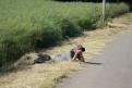 IMG 7797 YRI