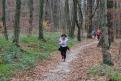 IMG 0538 YRI