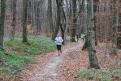 IMG 0421 YRI
