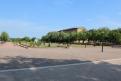 IMG 7928 YRI