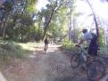 YRI VTT 00215