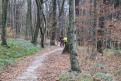 IMG 0741 YRI