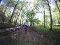 YRI VTT 00161