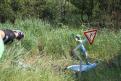 IMG 7401 YRI