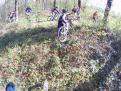 FILE0136