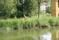 IMG 6860 YRI