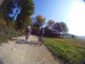 YRI VTT 00212