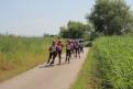 IMG 7540 YRI