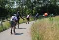 IMG 7581 YRI
