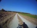 YRI VTT 00314