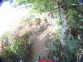YRI VTT 00021