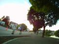 FILE0553