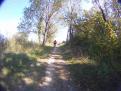 YRI VTT 00343