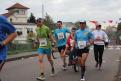 IMG 9638 YRI