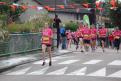 IMG 8829 YRI