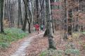 IMG 0807 YRI