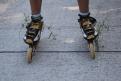 IMG 7755 YRI