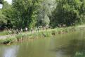 IMG 6874 YRI