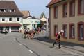 IMG 0287 YRI