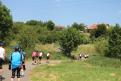 IMG 7483 YRI