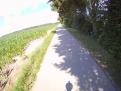 YRI Drift 0211