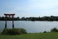 IMG 7915 YRI