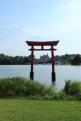 IMG 7918 YRI