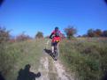 YRI VTT 00341