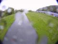 YRI3 Drift 0097