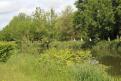 IMG 6864 YRI