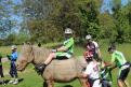 IMG 5058 YRI